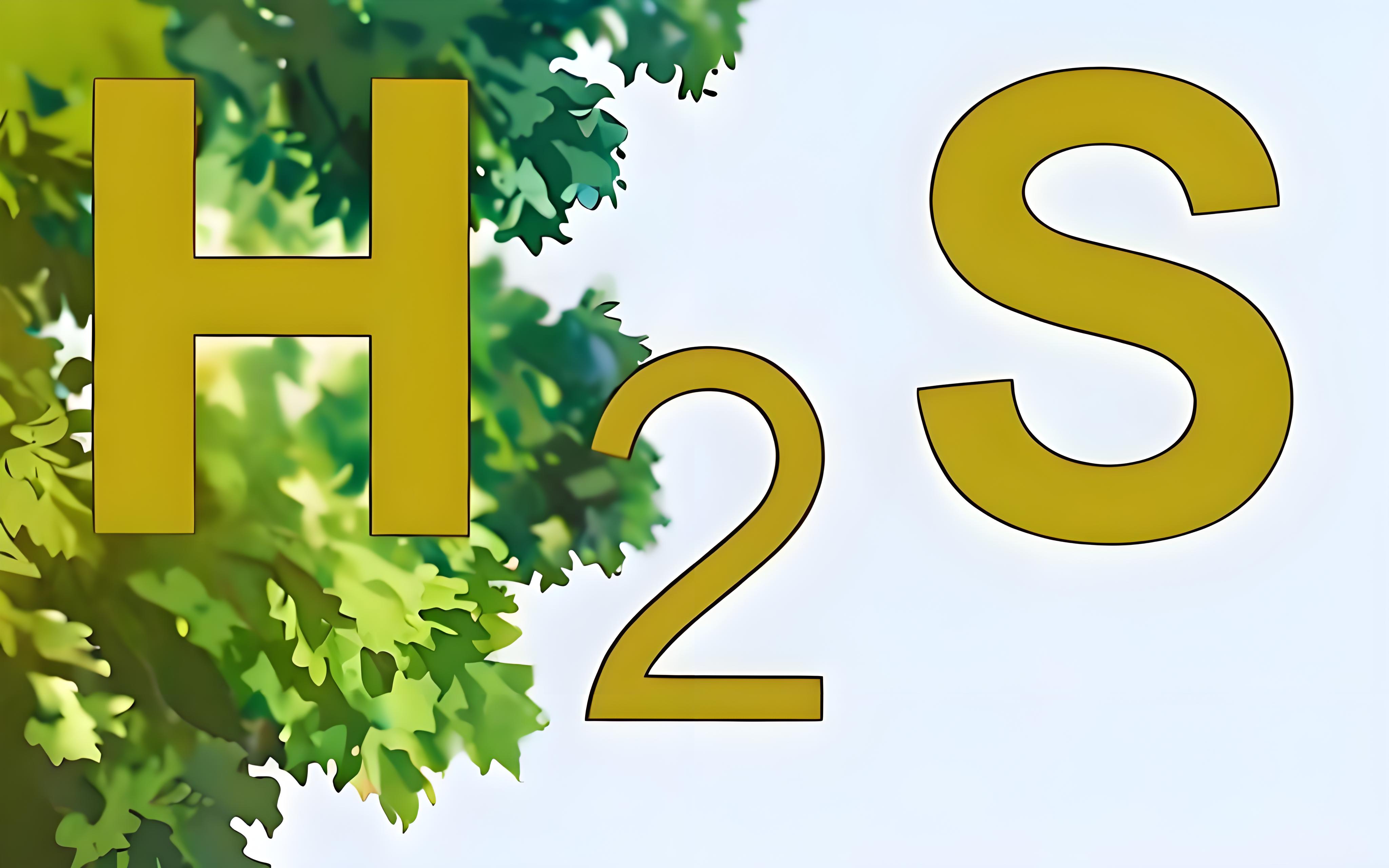 氣體檢測儀氫氣報警閾值和硫化氫的有什么區(qū)別？